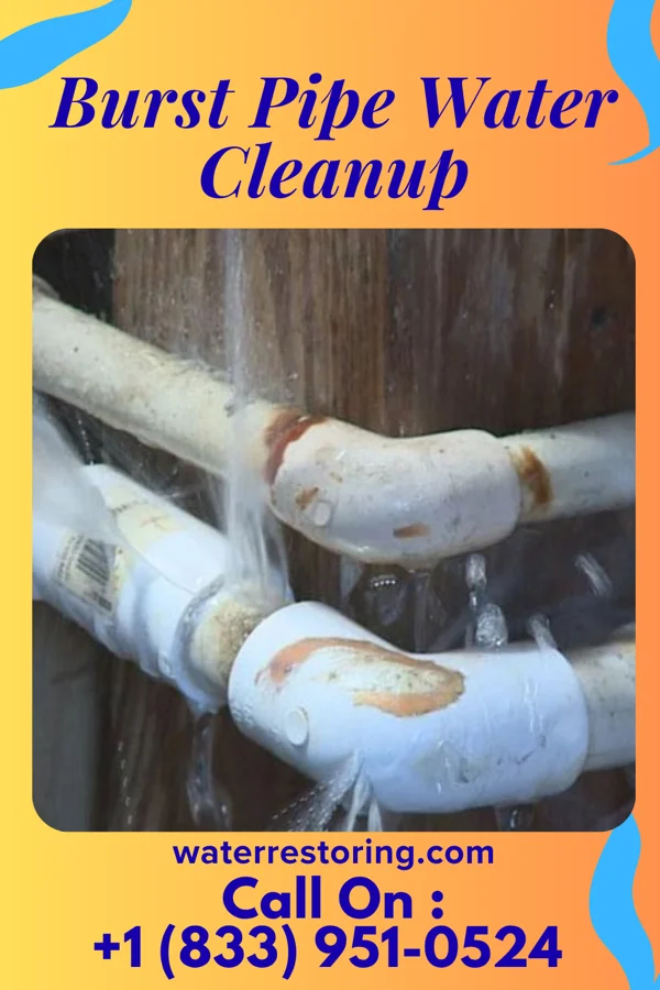 Burst Pipe Water Cleanup in Branchville, CT